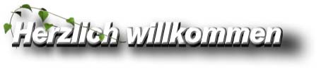 Herzlich willkommen