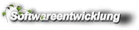 Softwareentwicklung